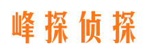 正定市侦探调查公司